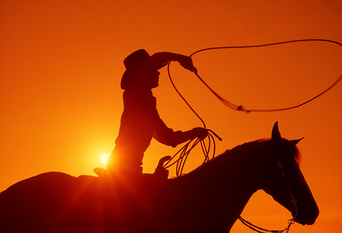 Giddy Up to Lower Electricity Rates