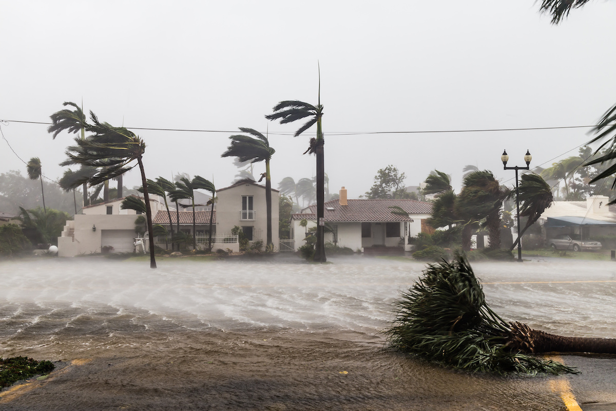 Extreme Weather Hurricanes